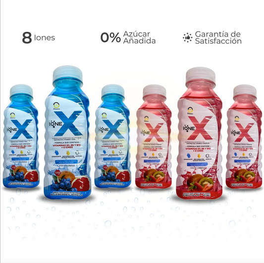 6 Botellas, Mix de sabores Blueberry y Frutilla Kiwi 330cc.